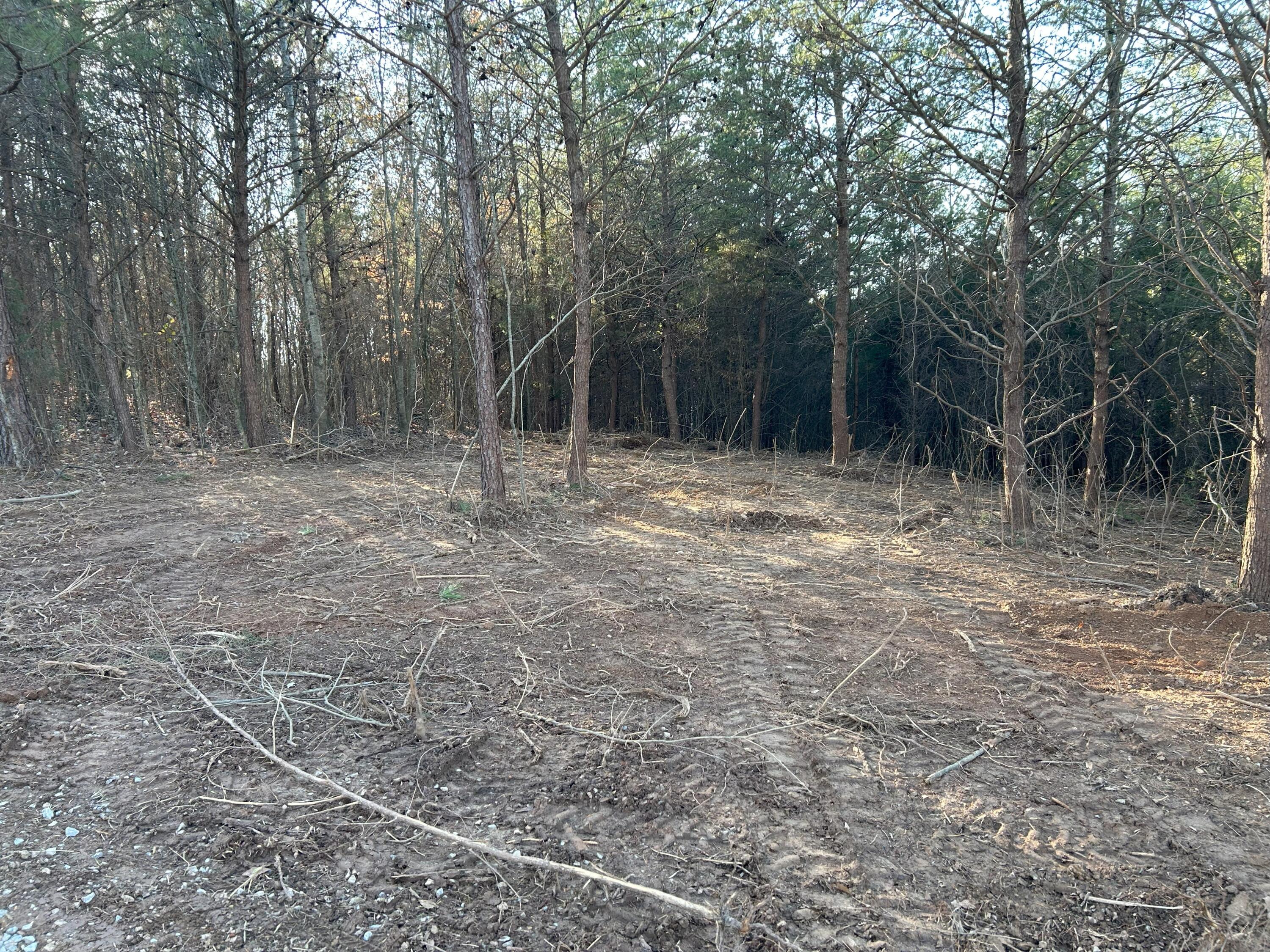 00 Lot 2, Union Grove Road, Charleston, Tennessee image 1