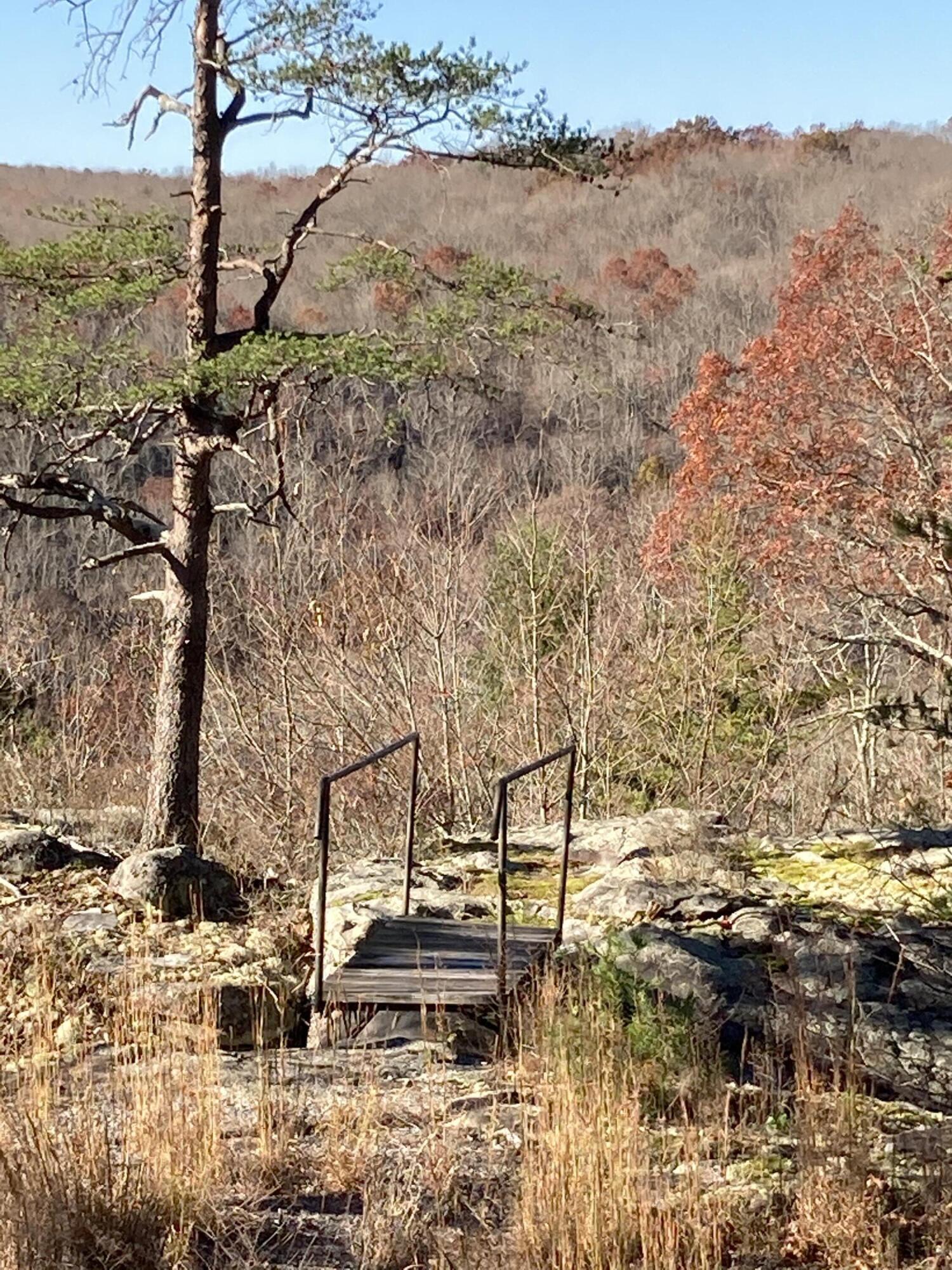 Shadwick Road, Graysville, Tennessee image 10