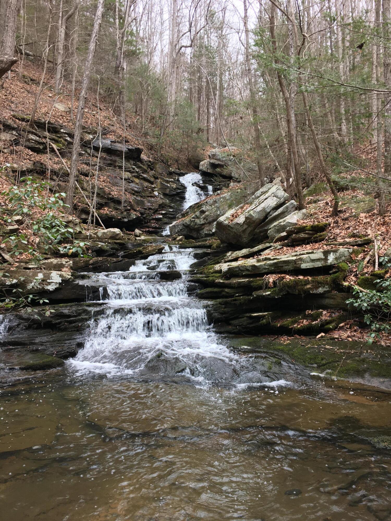 Shadwick Road, Graysville, Tennessee image 11