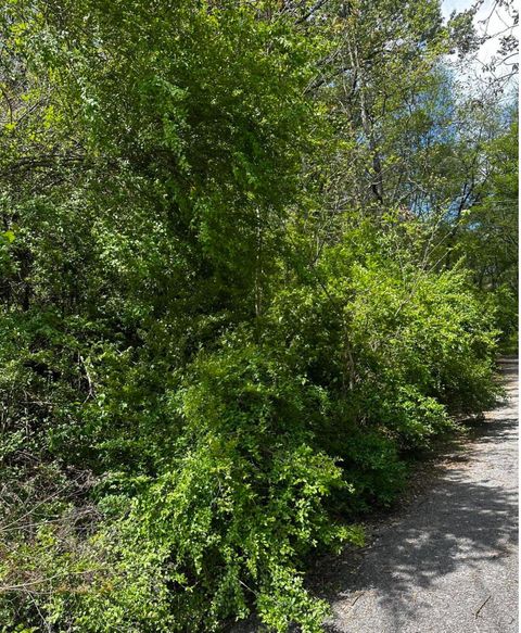 Photo of 517 Druid Lane, Chattanooga, TN 37405 (MLS # 1501925)