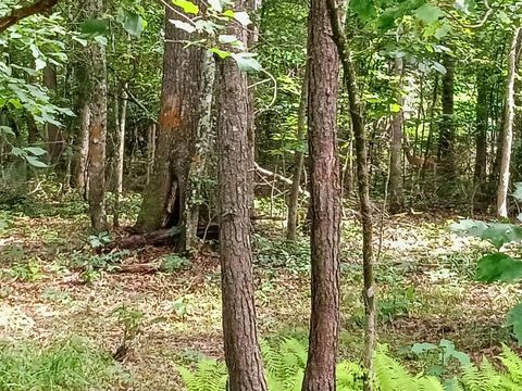 Photo of 776 Pine Road, Pikeville, TN 37367 (MLS # 1516677)