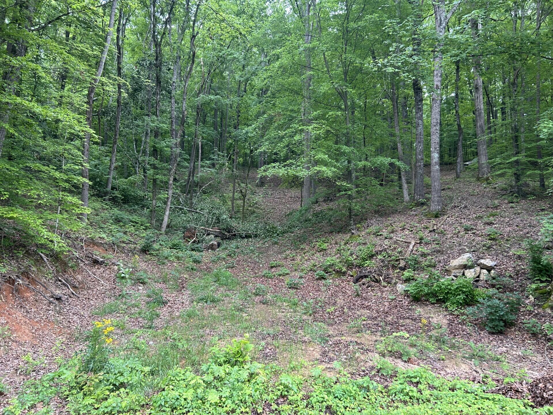 Candies Creek Ridge Road, Cleveland, Tennessee image 1