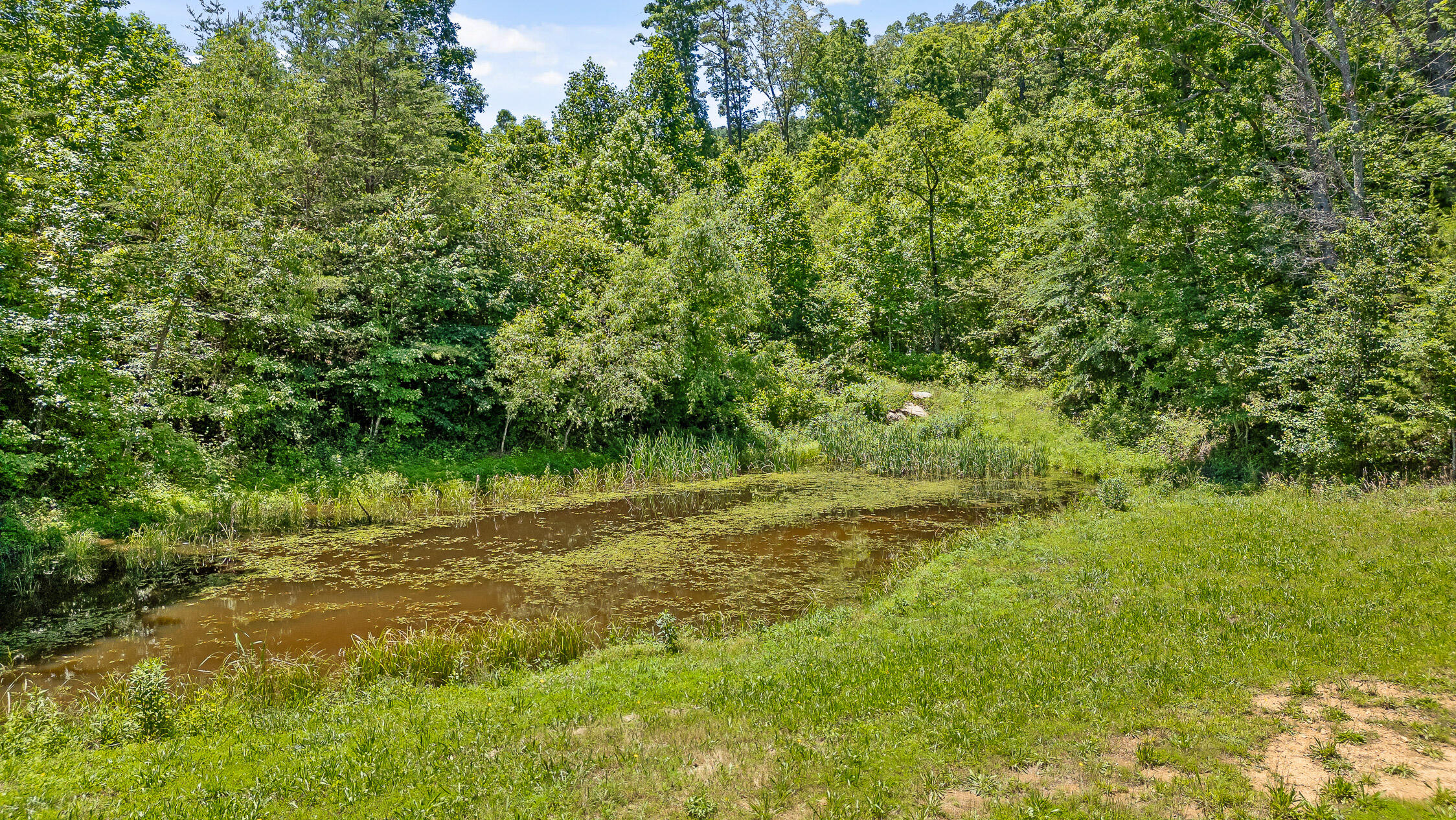 1150 Back Valley Road, Trenton, Georgia image 9
