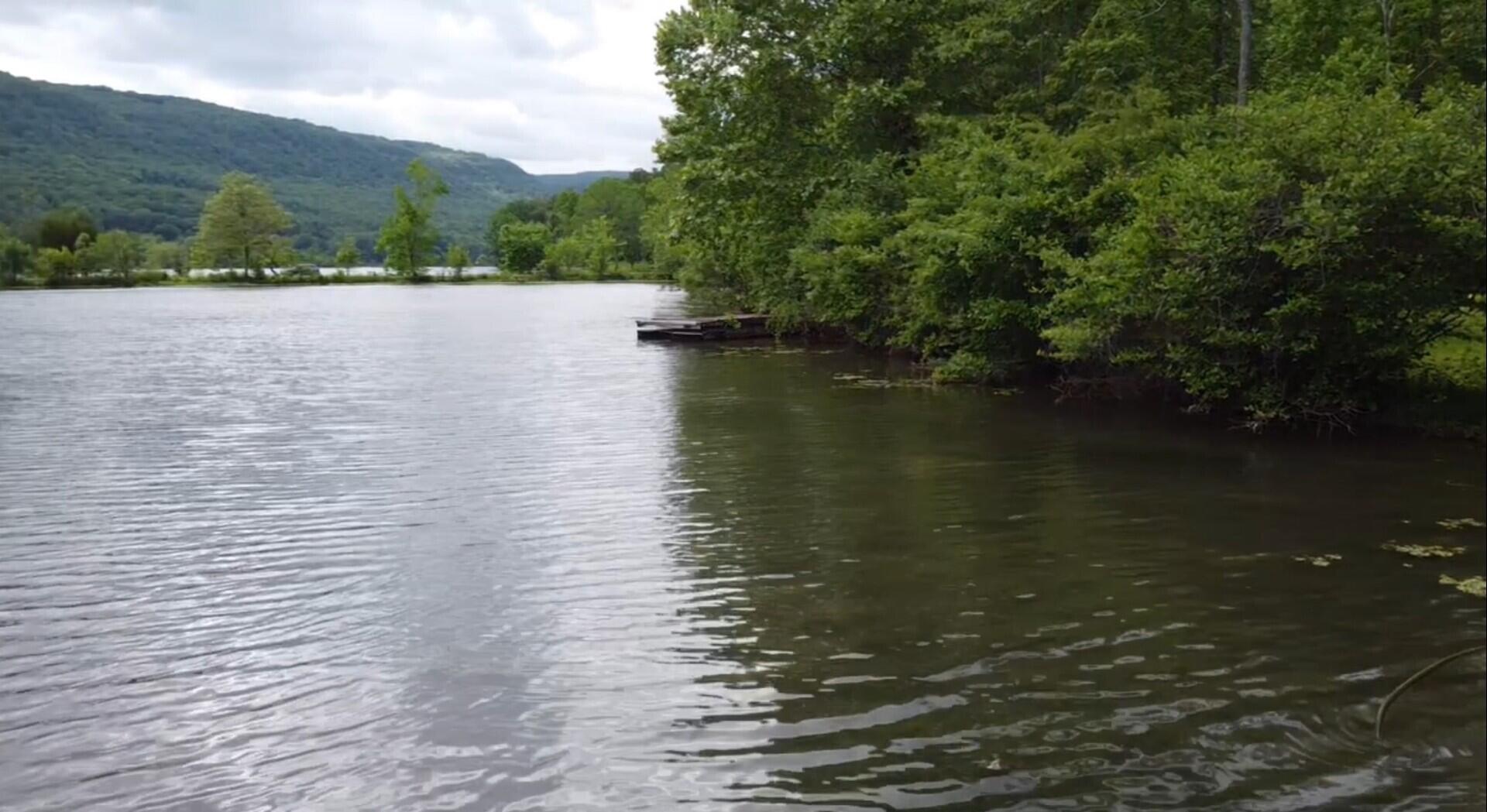 9928 Mullins Cove Road, Whitwell, Tennessee image 2