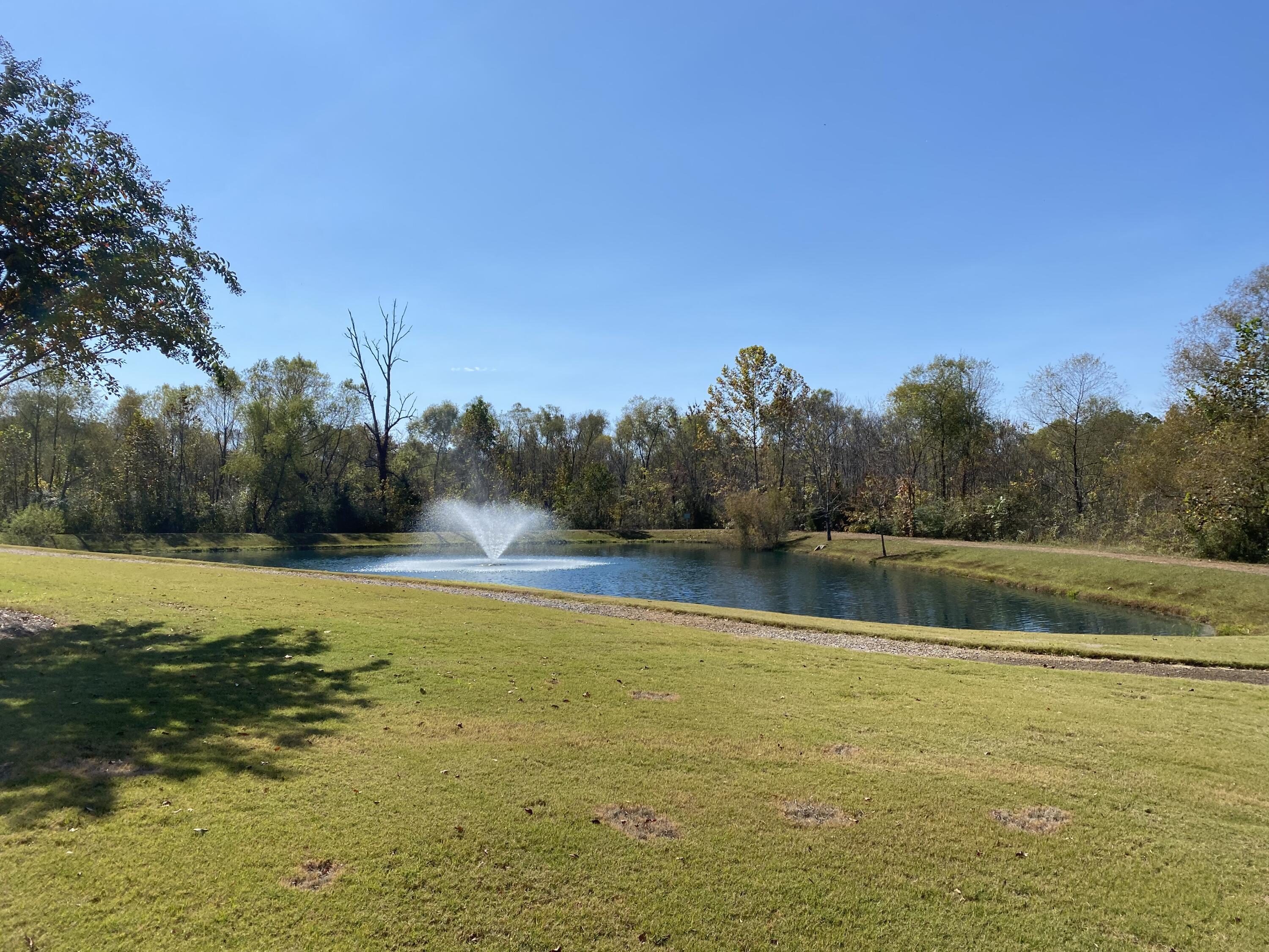 1502 Sedgefield Drive, Ooltewah, Tennessee image 13