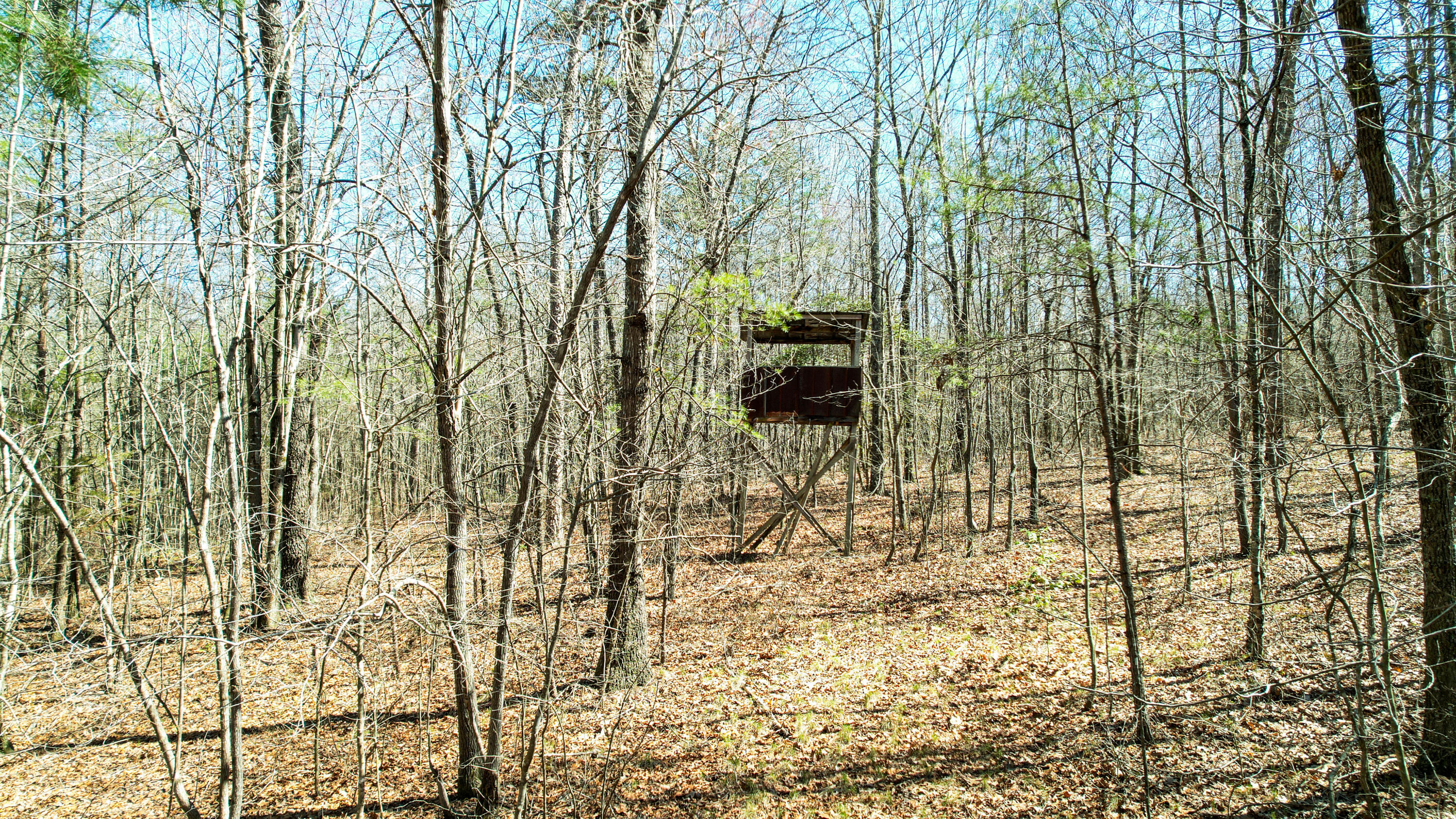 Henagar, Alabama 35978, United States, ,Land,Active,256200