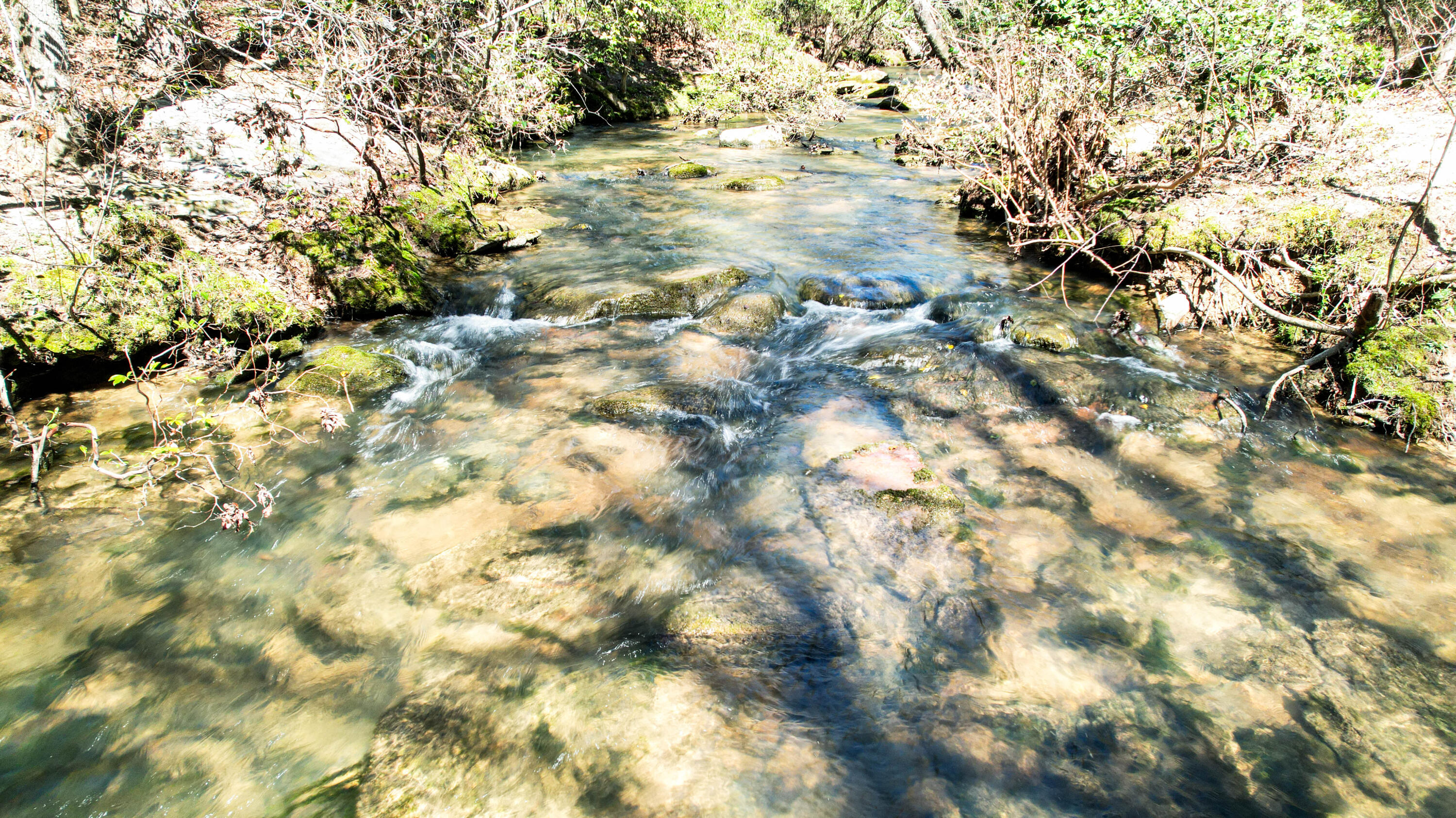 Henagar, Alabama 35978, United States, ,Land,Active,256200