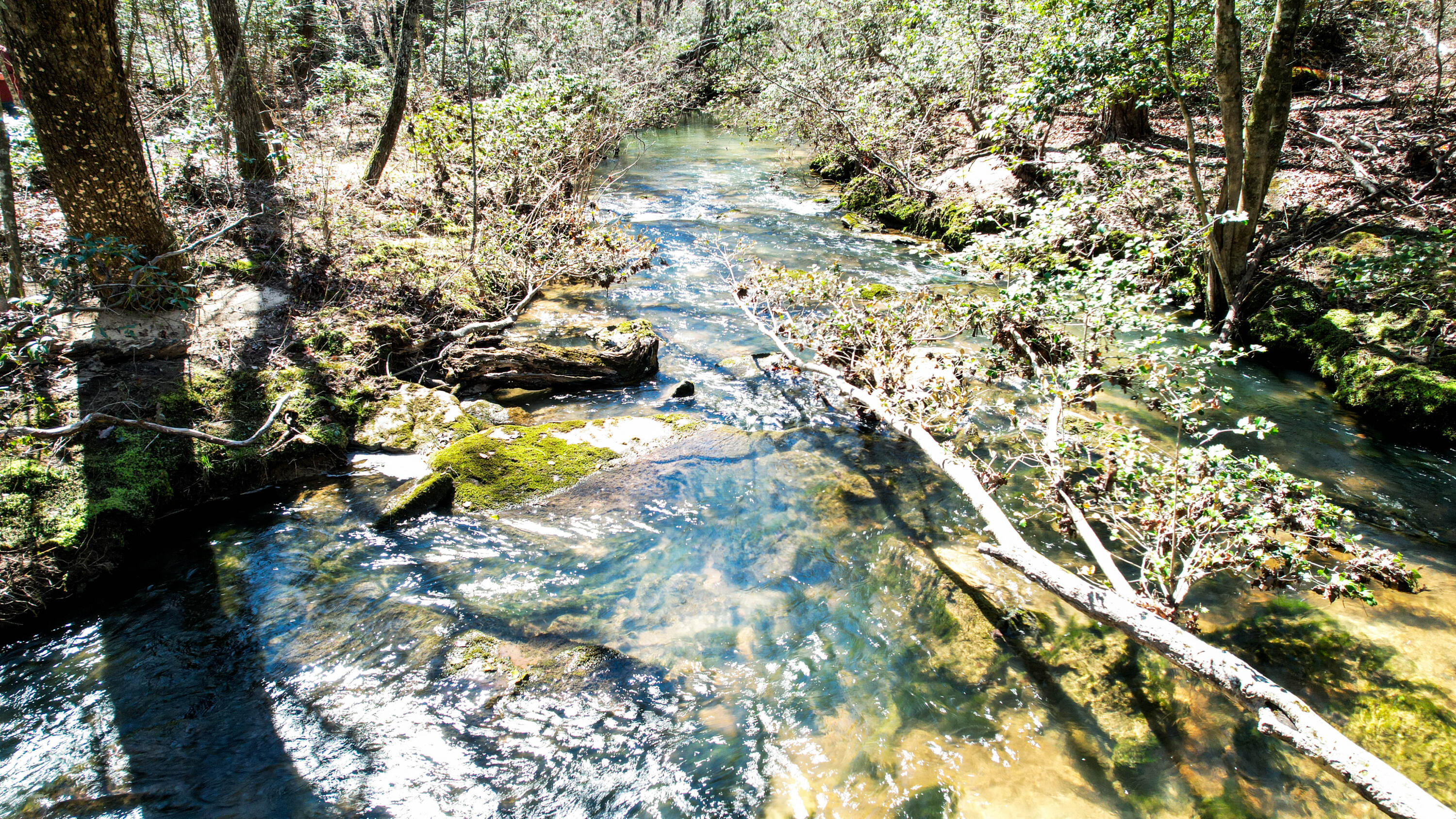 Henagar, Alabama 35978, United States, ,Land,Active,256200