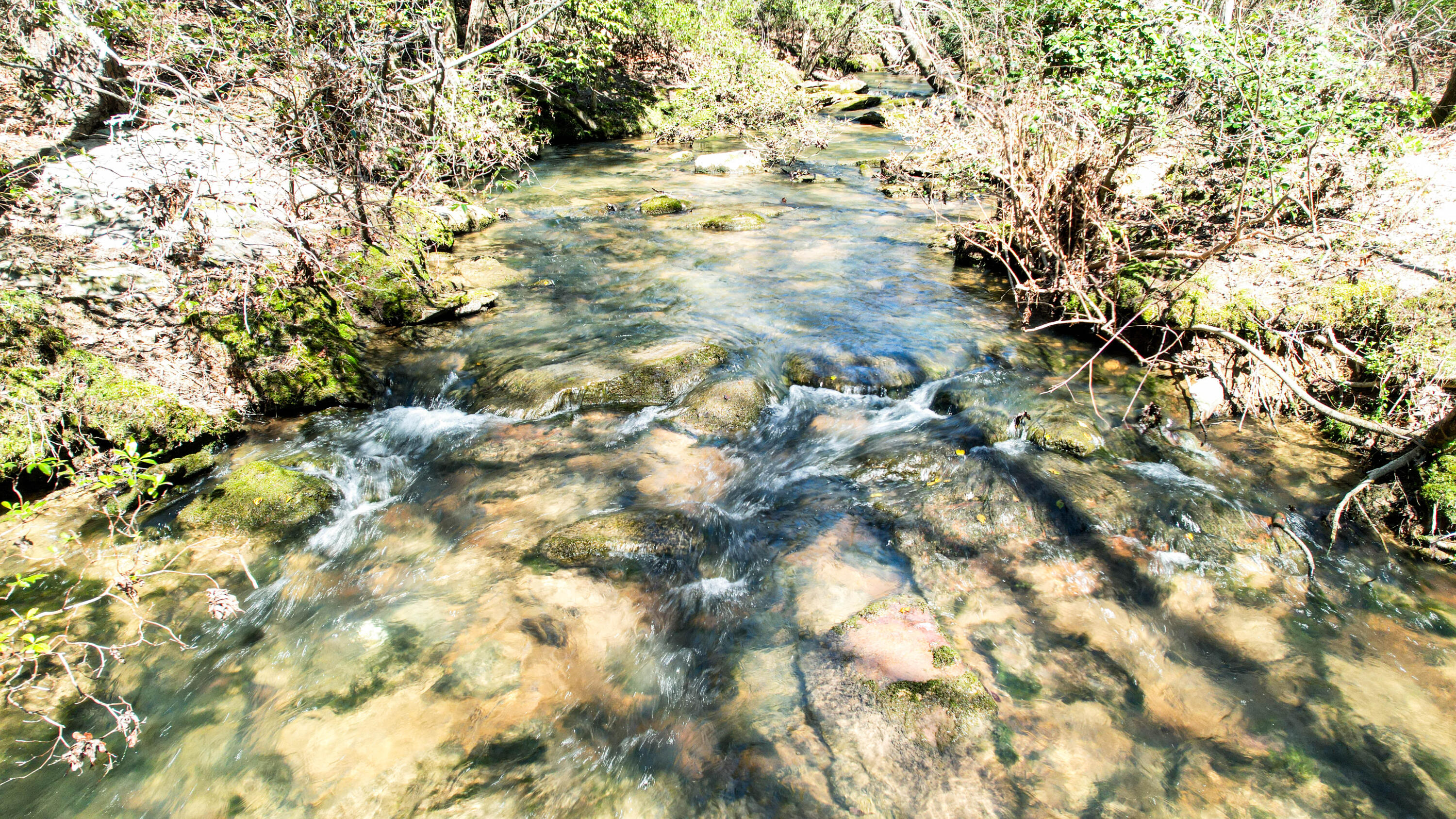 Henagar, Alabama 35978, United States, ,Land,Active,256200