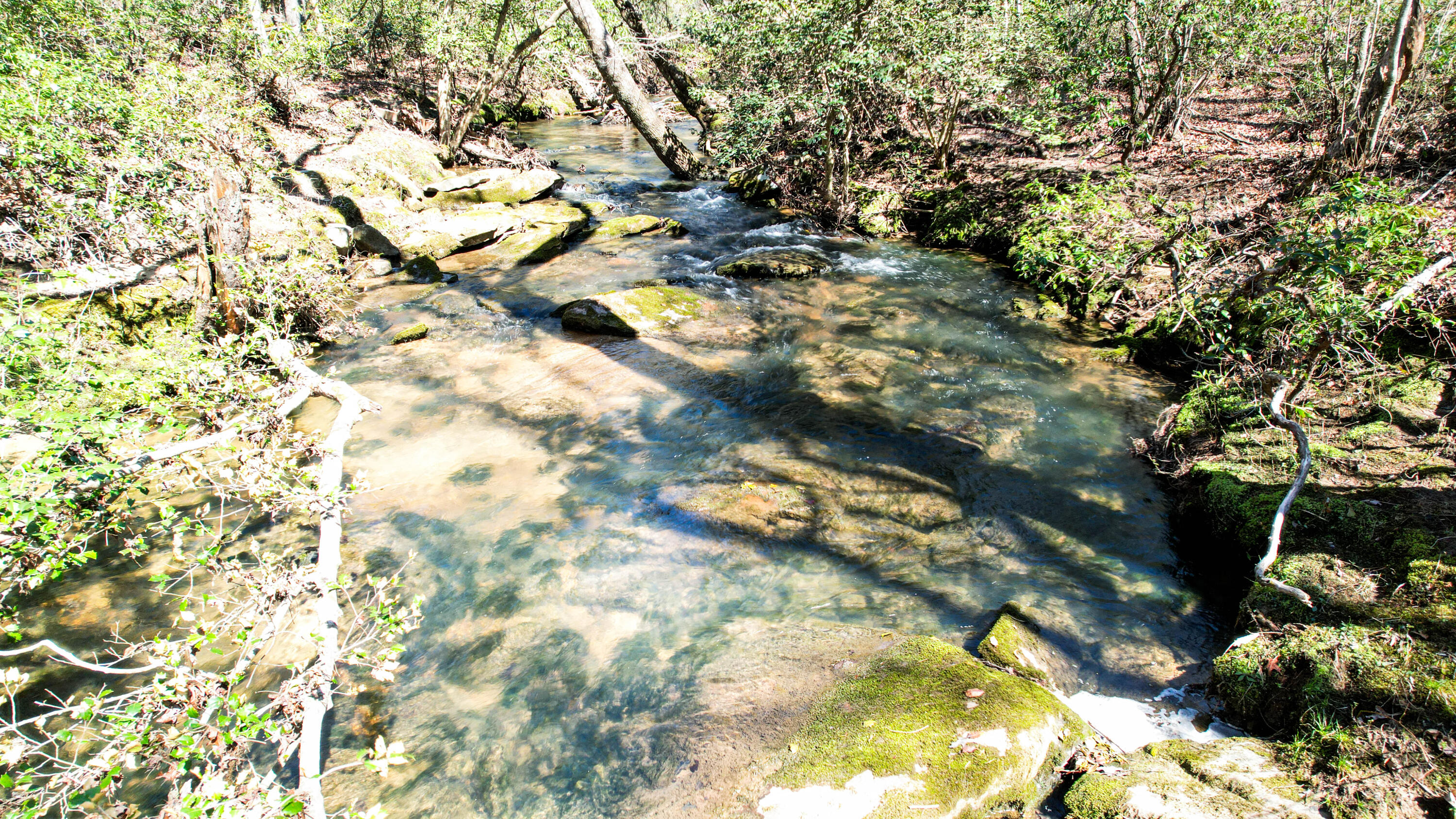 Henagar, Alabama 35978, United States, ,Land,Active,256200