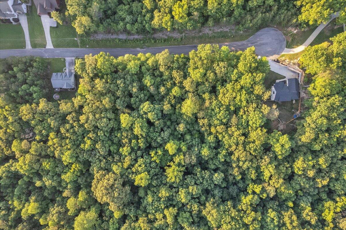 Lot 27 Highland Circle, Rocky Face, Georgia image 15
