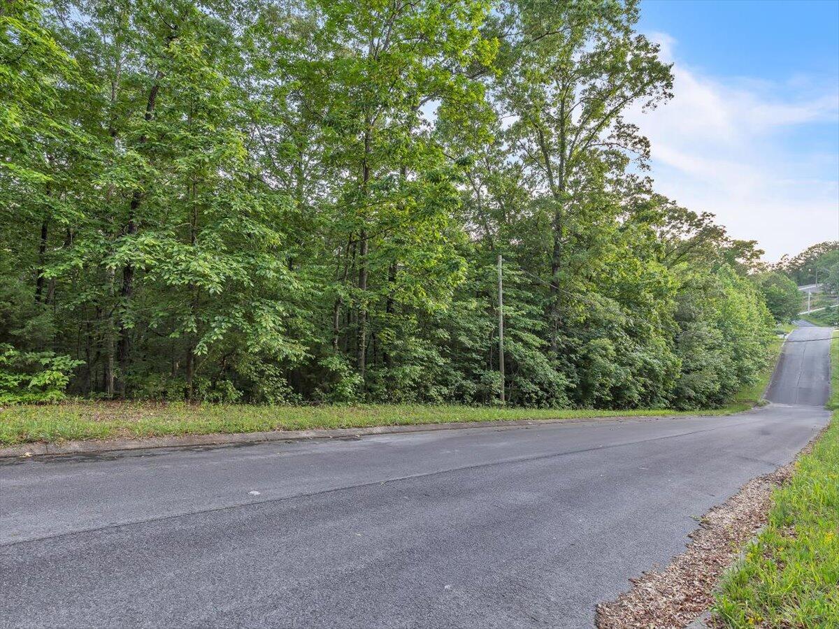 Lot 27 Highland Circle, Rocky Face, Georgia image 8