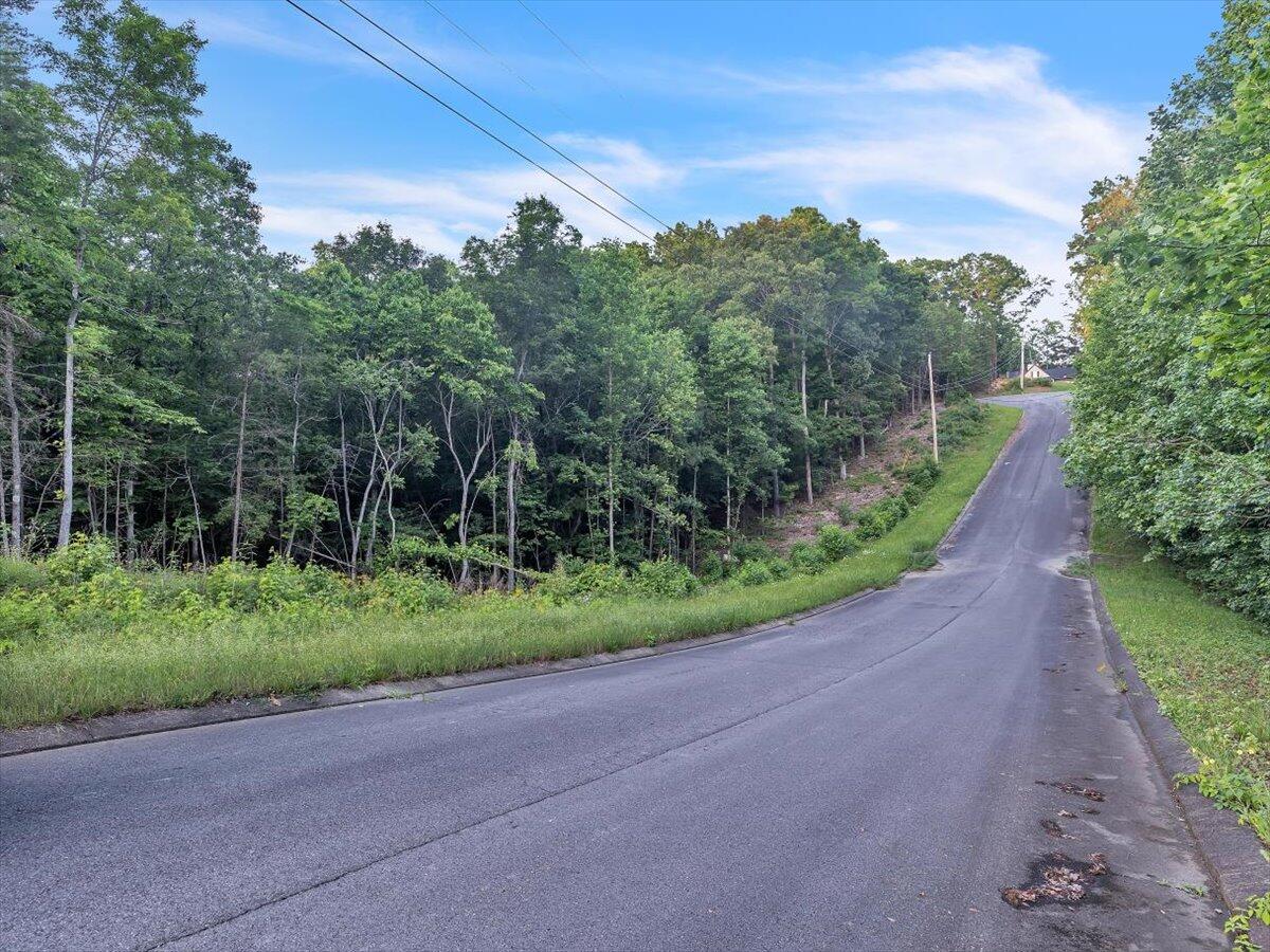Lot 27 Highland Circle, Rocky Face, Georgia image 21