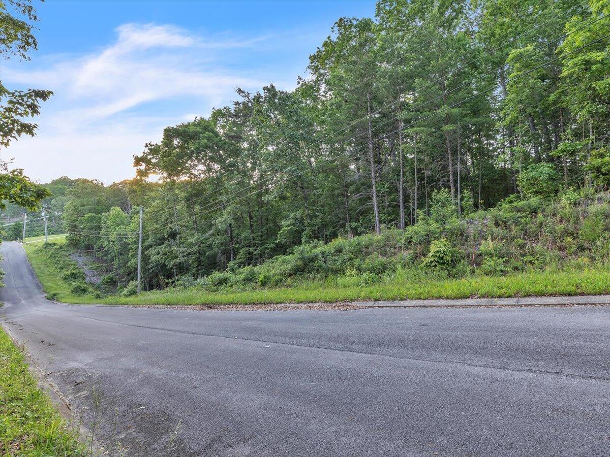 Lot 27 Highland Circle, Rocky Face, Georgia image 23