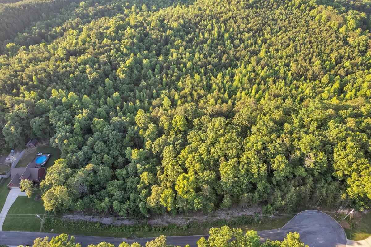 Lot 27 Highland Circle, Rocky Face, Georgia image 19