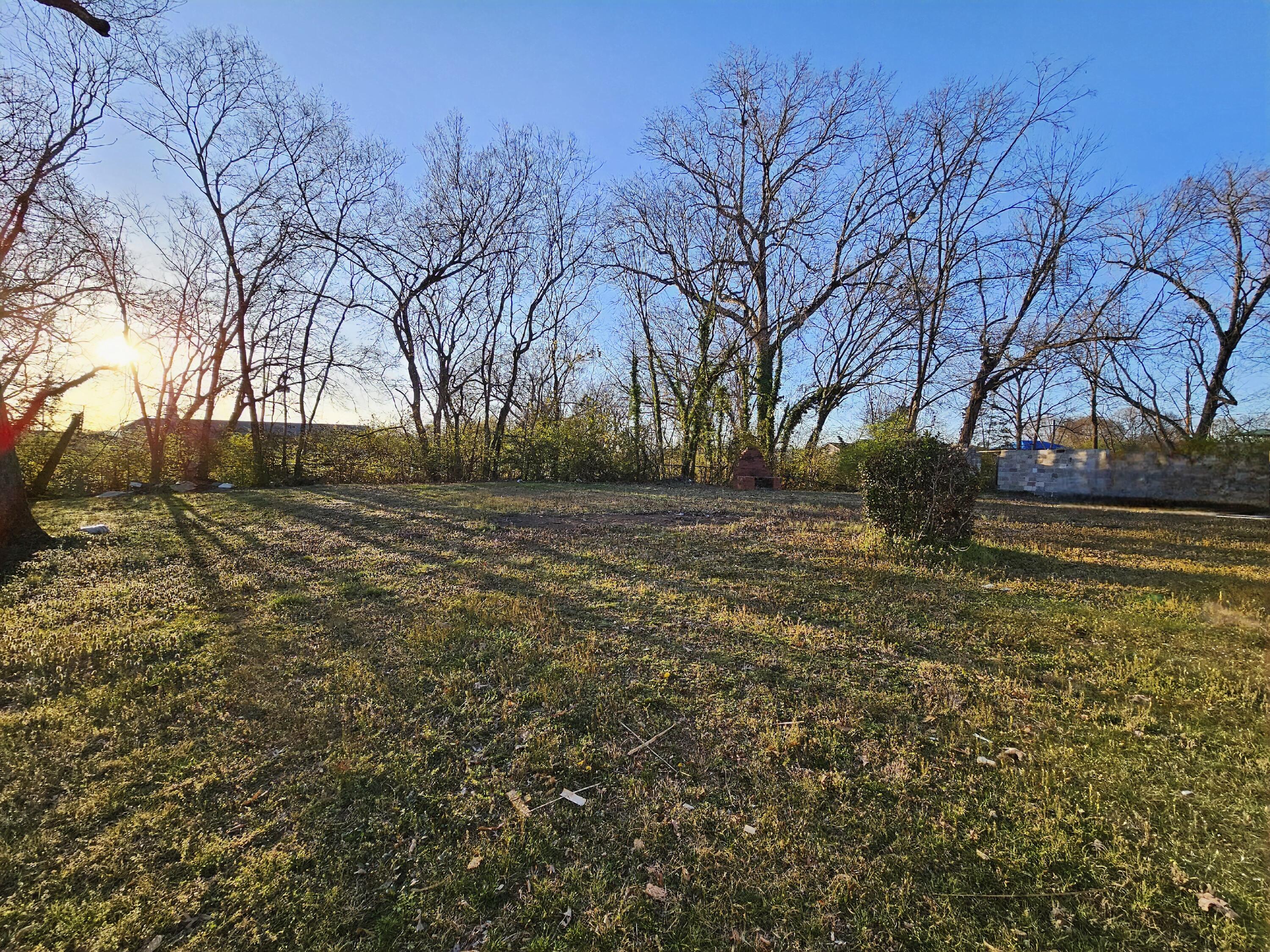 1509 Arlington Avenue, Chattanooga, Tennessee image 4