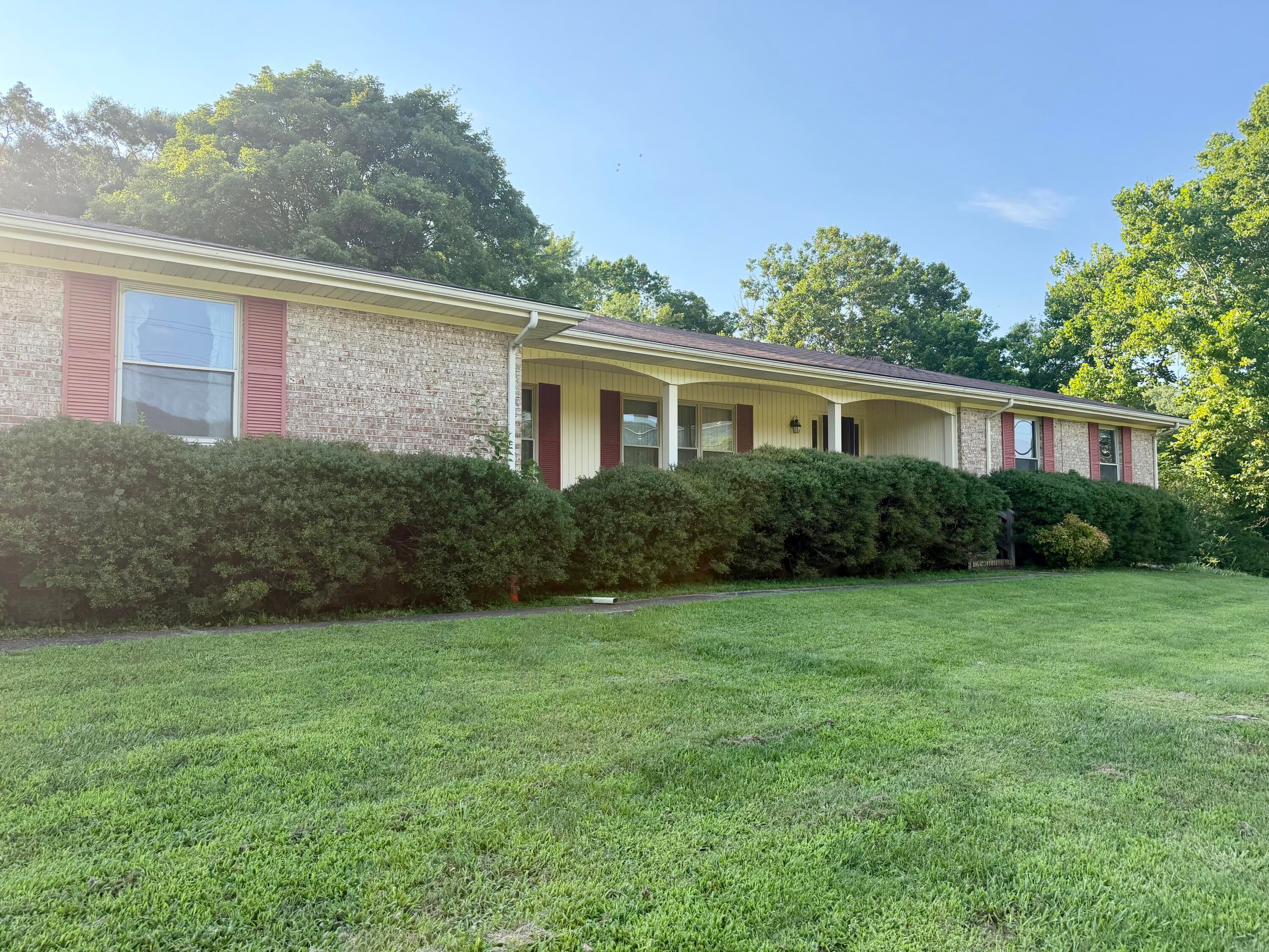 557 Alvin C York Highway