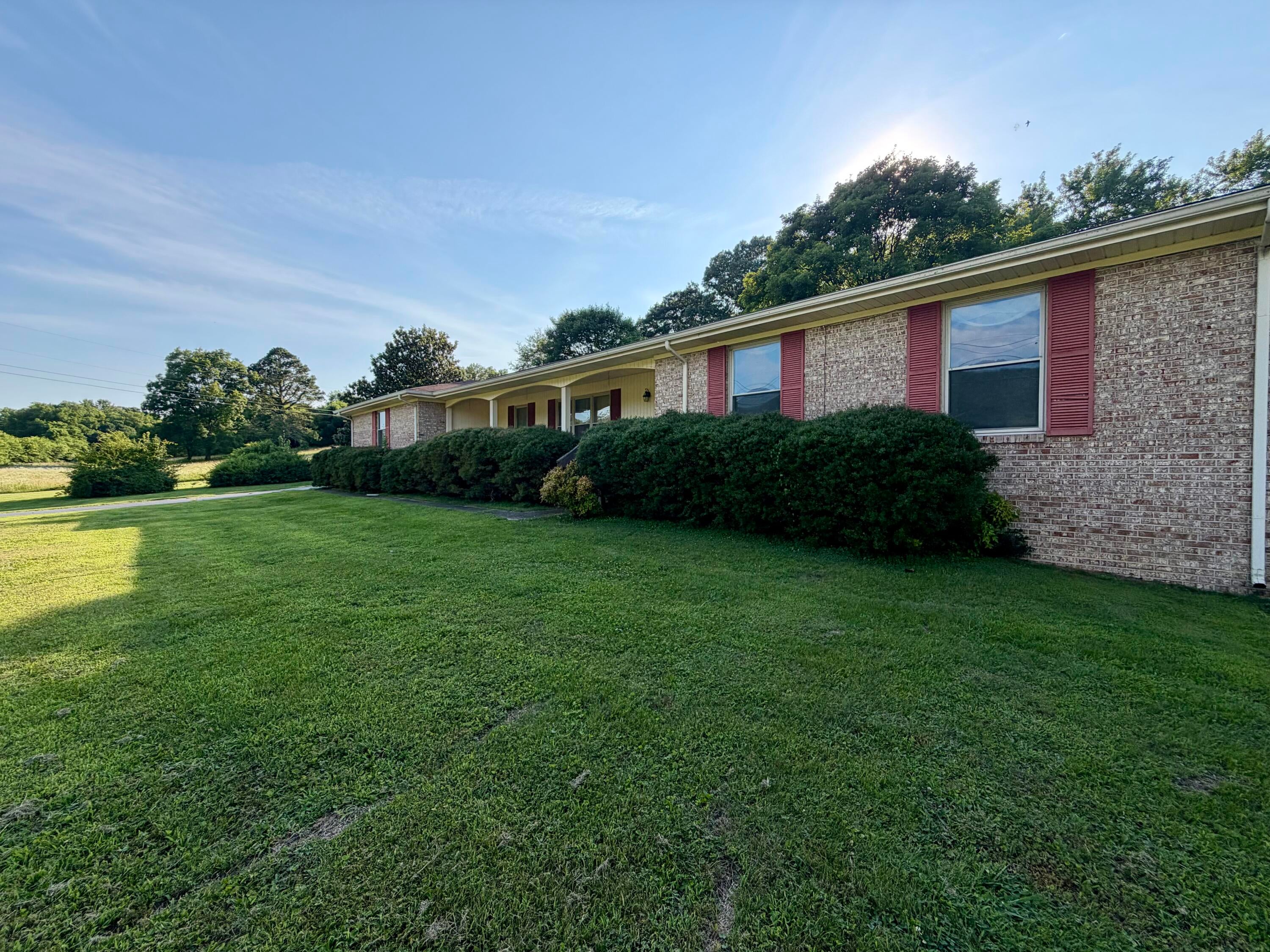 557 Alvin C York Highway