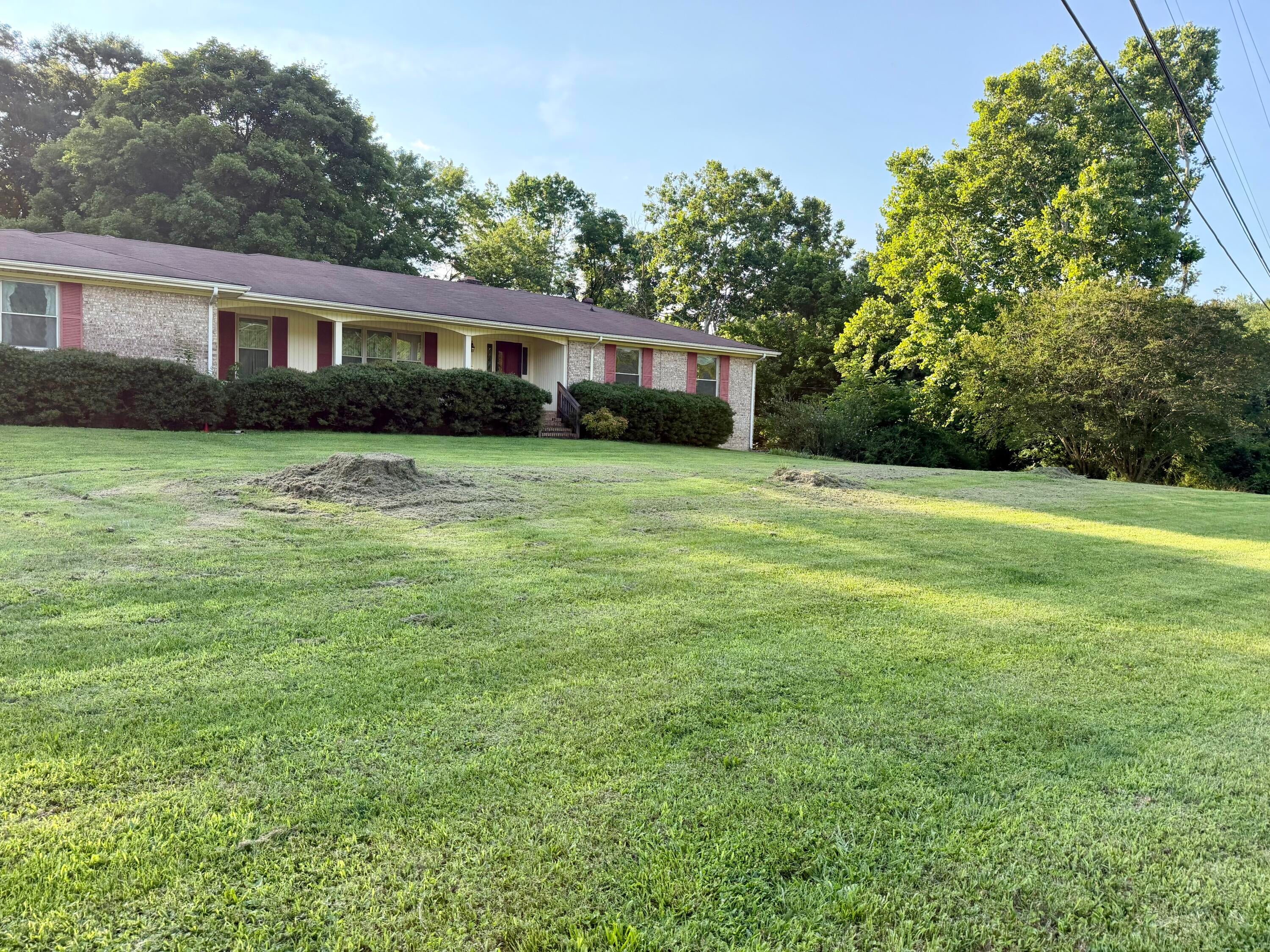 557 Alvin C York Highway