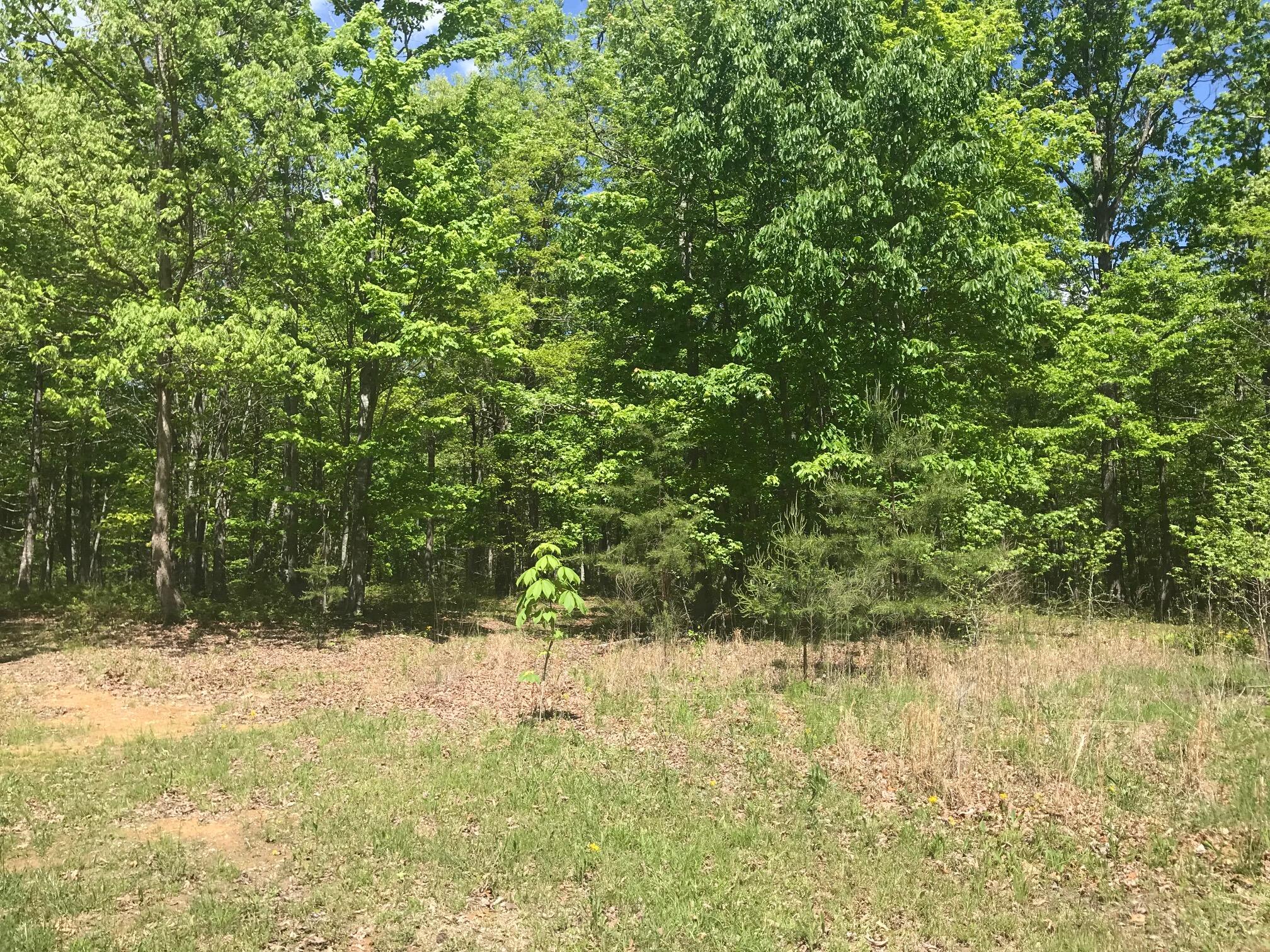 2 Lake Trl #336  32-C, Dunlap, Tennessee image 9