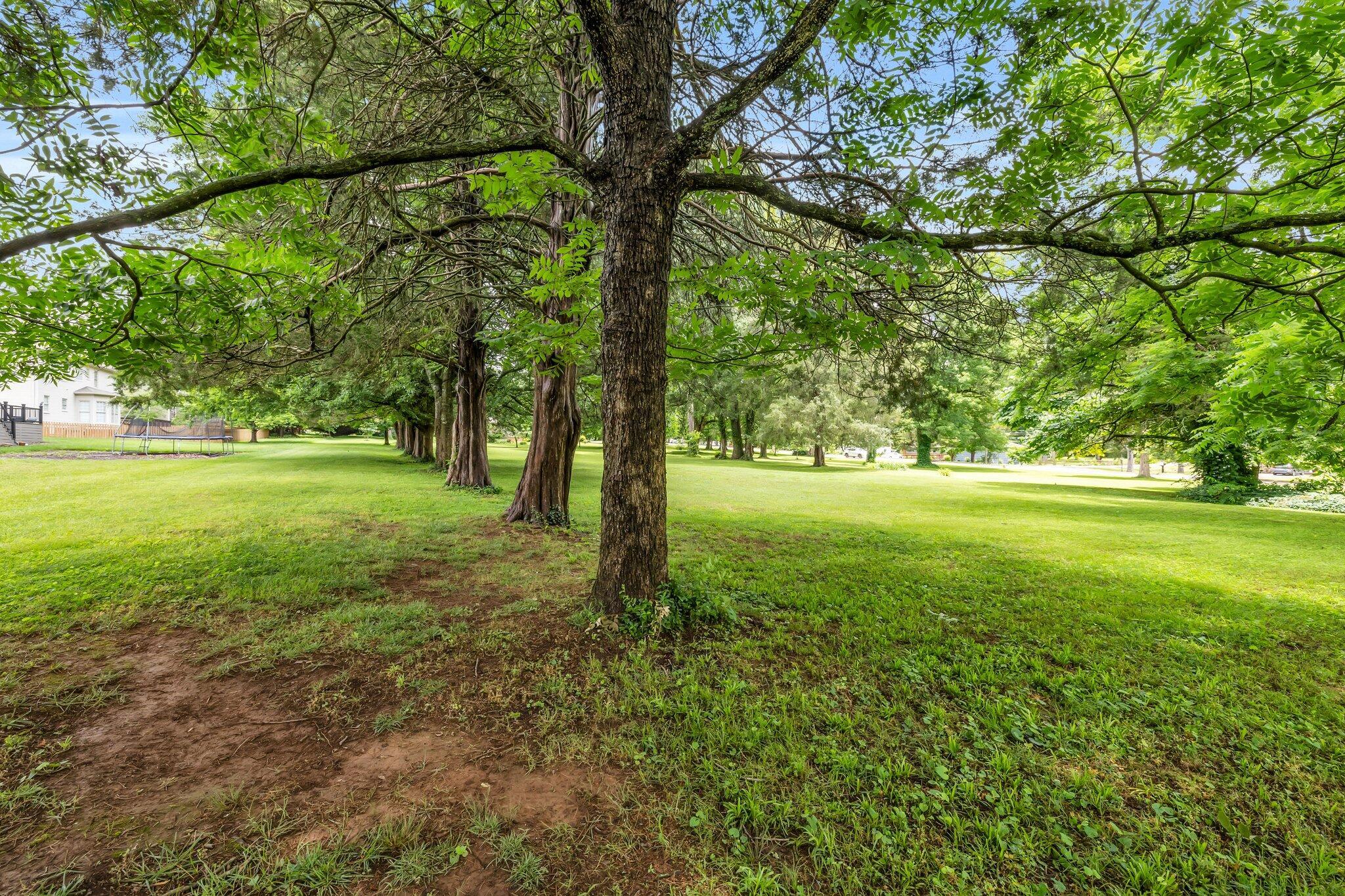 1051 Norfolk Green Circle, Chattanooga, Tennessee image 8