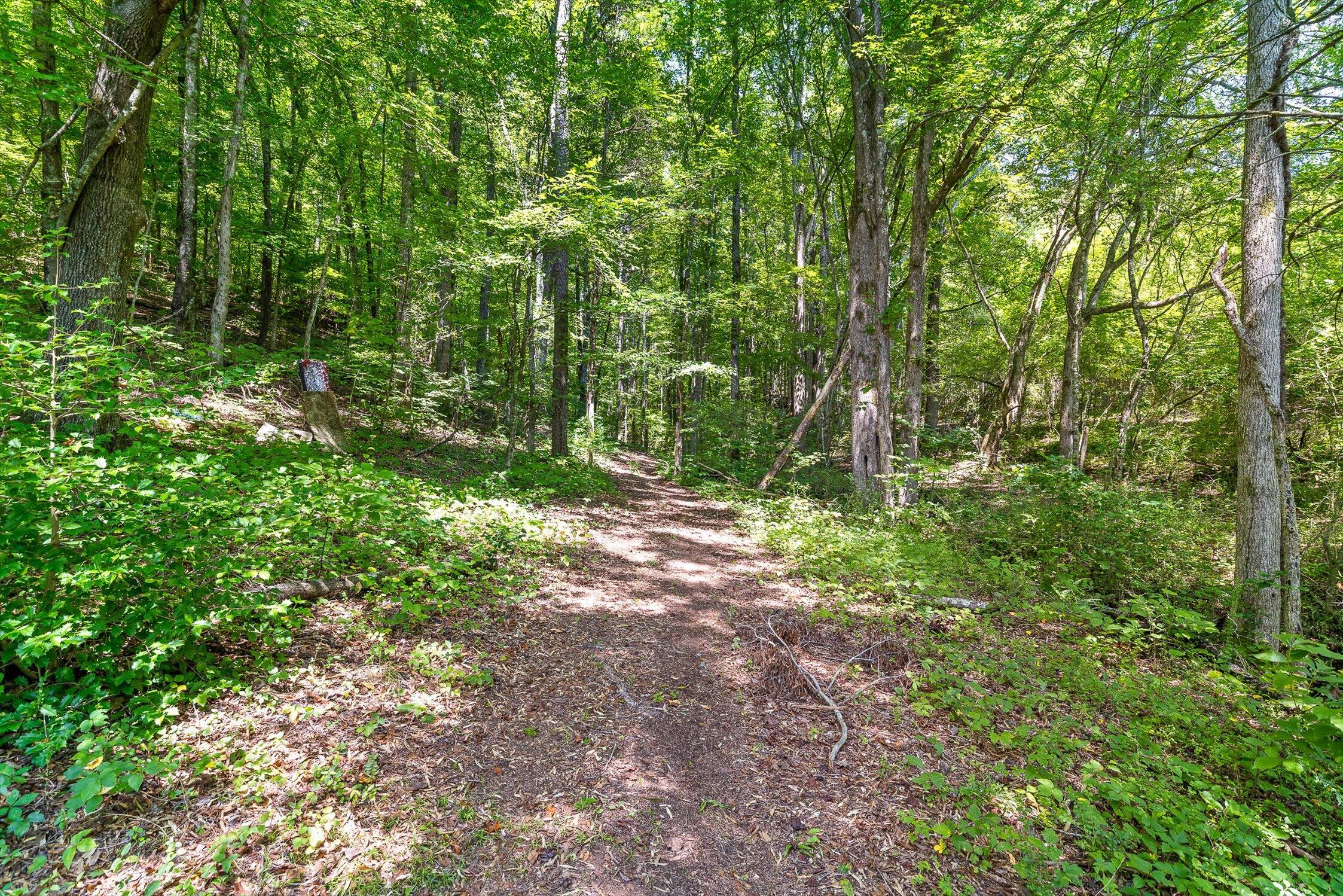 Decatur, Tennessee 37322, United States, 4 Bedrooms Bedrooms, ,2 BathroomsBathrooms,Residential,Active,194478