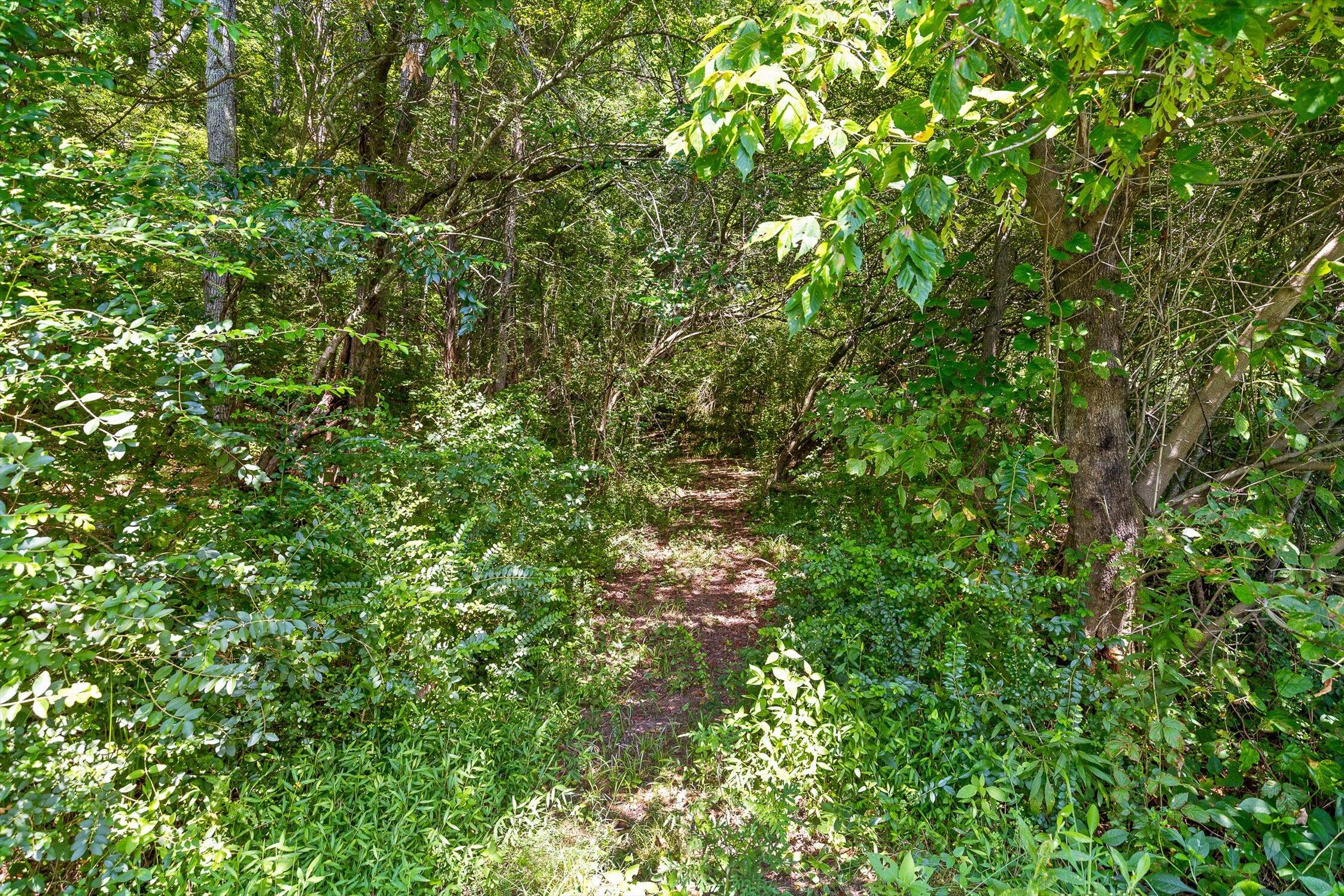 Decatur, Tennessee 37322, United States, 4 Bedrooms Bedrooms, ,2 BathroomsBathrooms,Residential,Active,194478