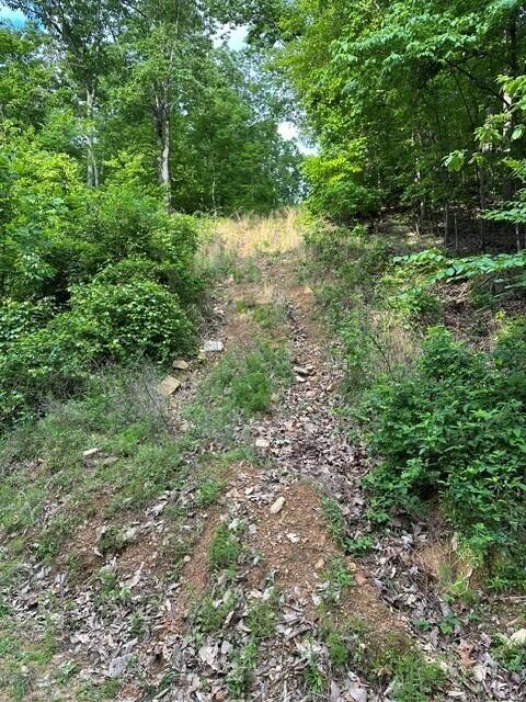 39.58 Hwy 156, South Pittsburg, Tennessee image 13