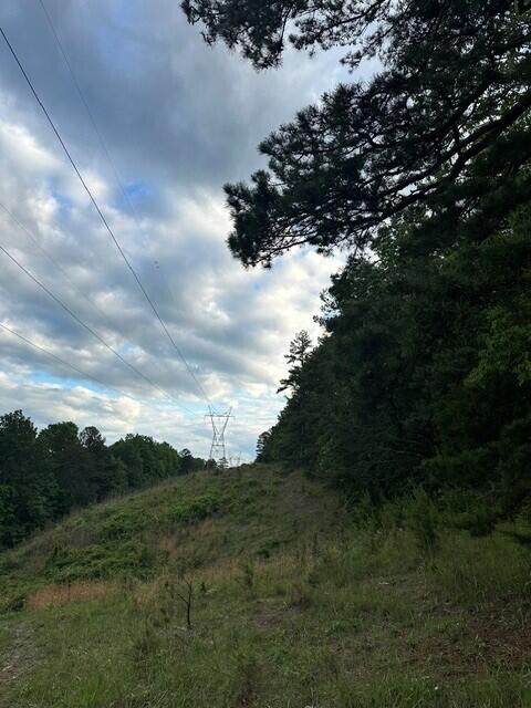 39.58 Hwy 156, South Pittsburg, Tennessee image 5