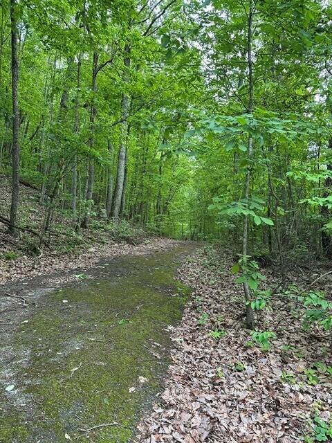 39.58 Hwy 156, South Pittsburg, Tennessee image 2