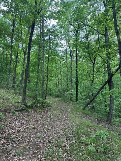 39.58 Hwy 156, South Pittsburg, Tennessee image 6