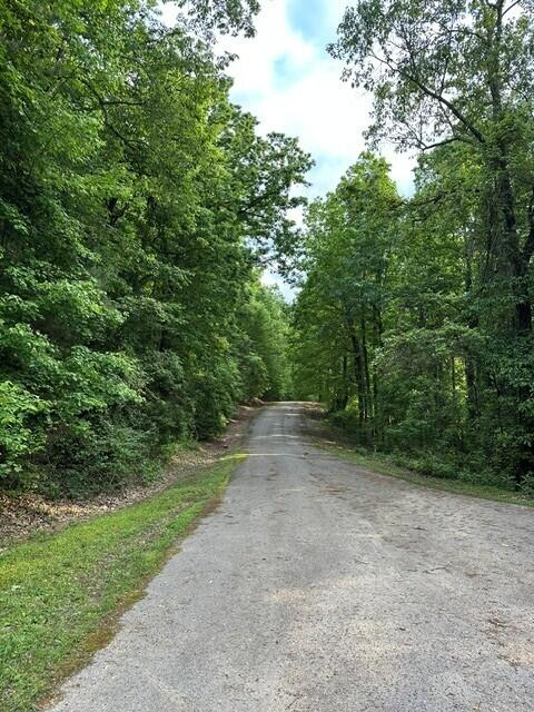 39.58 Hwy 156, South Pittsburg, Tennessee image 14