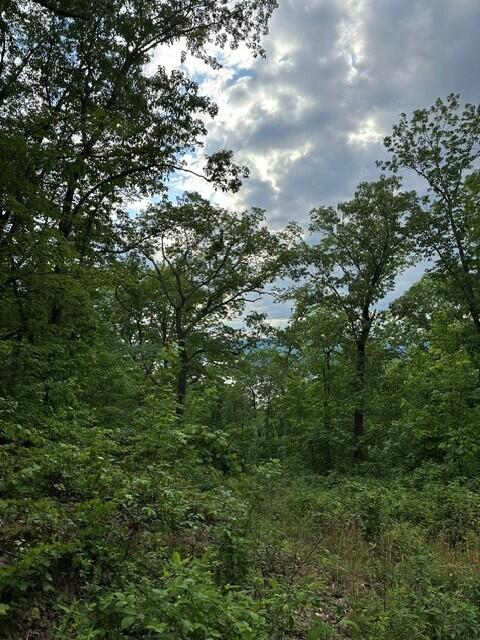 39.58 Hwy 156, South Pittsburg, Tennessee image 9
