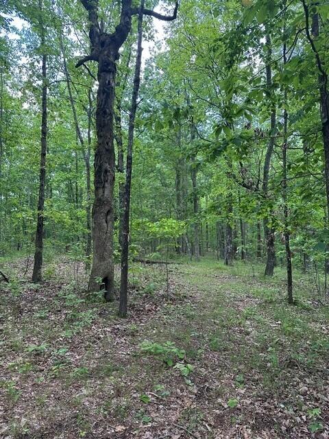 39.58 Hwy 156, South Pittsburg, Tennessee image 12