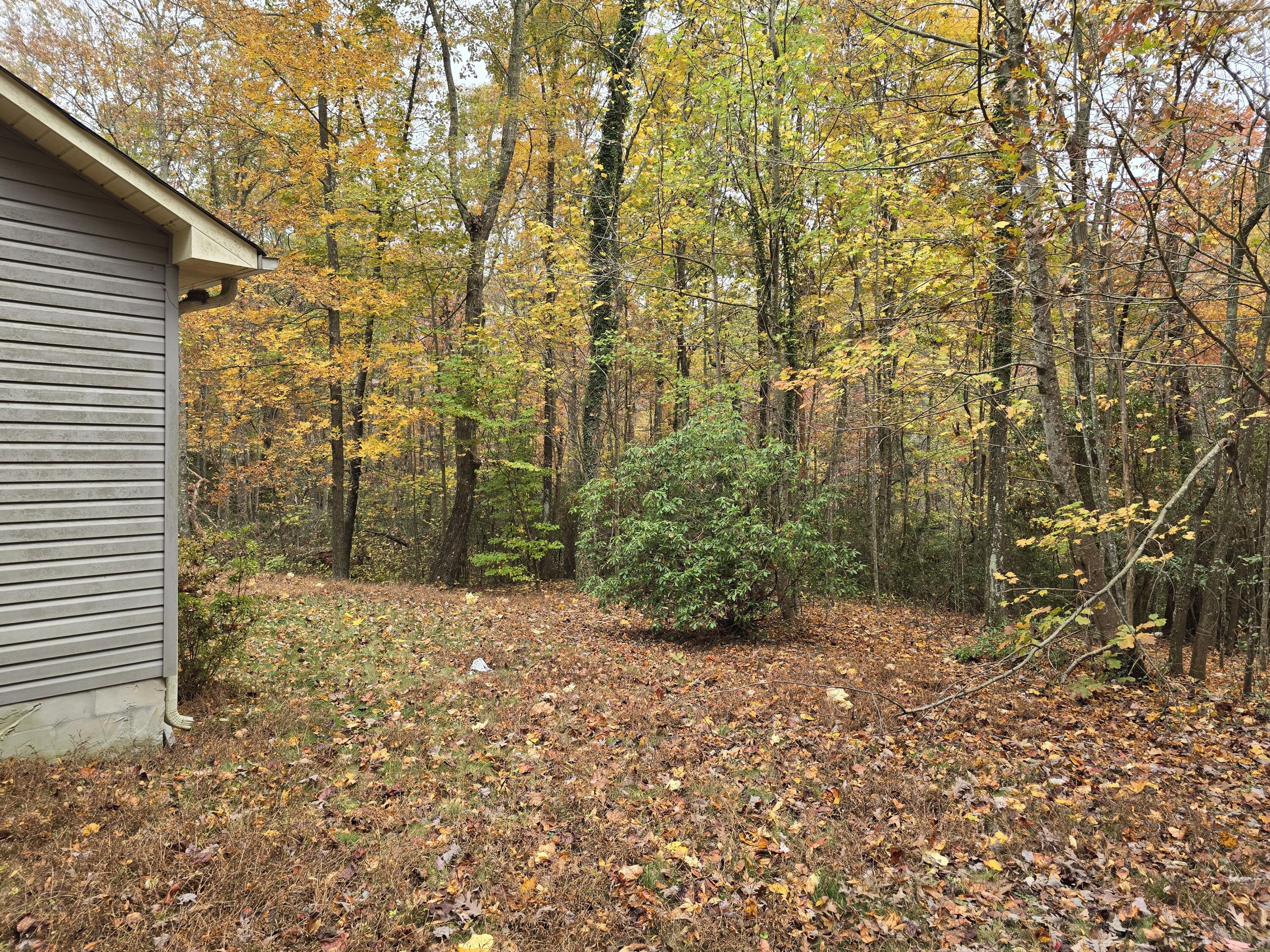 3847 Us 127, Signal Mountain, Tennessee image 22
