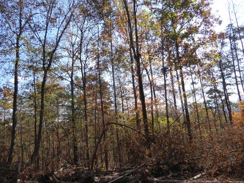 Tiny photo for 0 Laurel Avenue, South Pittsburg, TN 37380 (MLS # 1365098)