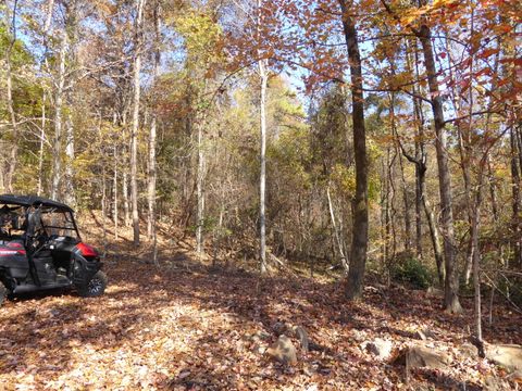 Tiny photo for 0 Laurel Avenue, South Pittsburg, TN 37380 (MLS # 1365098)