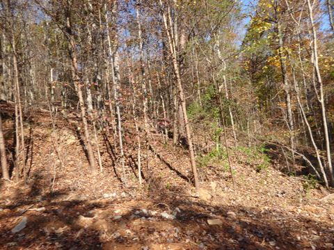 Tiny photo for 0 Laurel Avenue, South Pittsburg, TN 37380 (MLS # 1365098)
