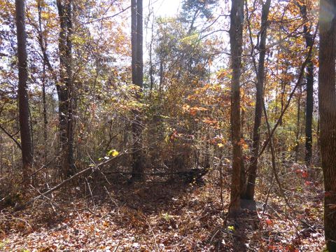 Tiny photo for 0 Laurel Avenue, South Pittsburg, TN 37380 (MLS # 1365098)
