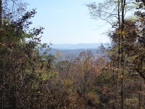 Tiny photo for 0 Laurel Avenue, South Pittsburg, TN 37380 (MLS # 1365098)