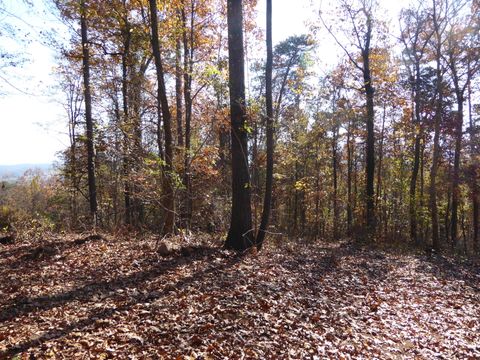 Tiny photo for 0 Laurel Avenue, South Pittsburg, TN 37380 (MLS # 1365098)