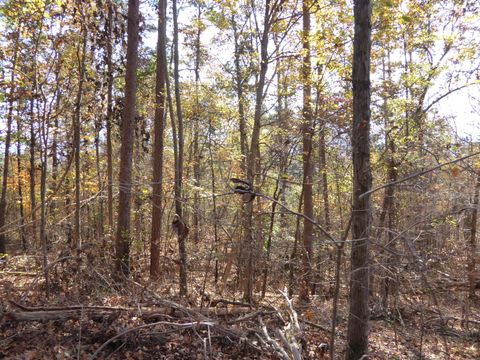 Tiny photo for 0 Laurel Avenue, South Pittsburg, TN 37380 (MLS # 1365098)