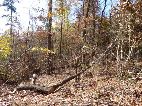 Tiny photo for 0 Laurel Avenue, South Pittsburg, TN 37380 (MLS # 1365098)