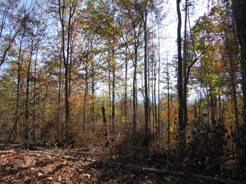 Tiny photo for 0 Laurel Avenue, South Pittsburg, TN 37380 (MLS # 1365098)