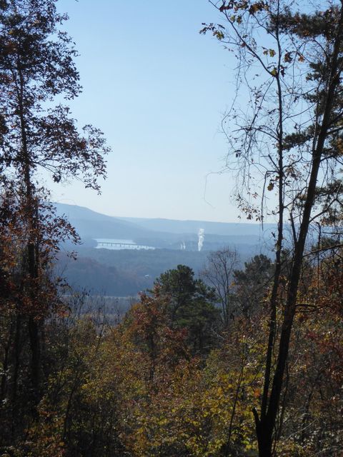 Tiny photo for 0 Laurel Avenue, South Pittsburg, TN 37380 (MLS # 1365098)