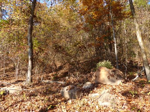 Tiny photo for 0 Laurel Avenue, South Pittsburg, TN 37380 (MLS # 1365098)