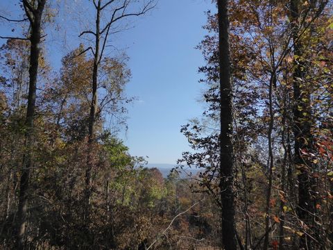 Tiny photo for 0 Laurel Avenue, South Pittsburg, TN 37380 (MLS # 1365098)