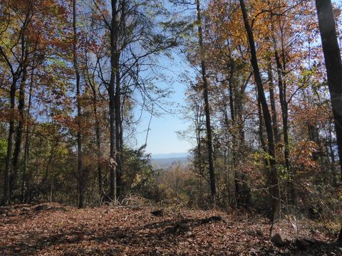 Tiny photo for 0 Laurel Avenue, South Pittsburg, TN 37380 (MLS # 1365098)