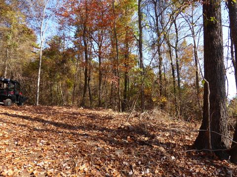 Tiny photo for 0 Laurel Avenue, South Pittsburg, TN 37380 (MLS # 1365098)