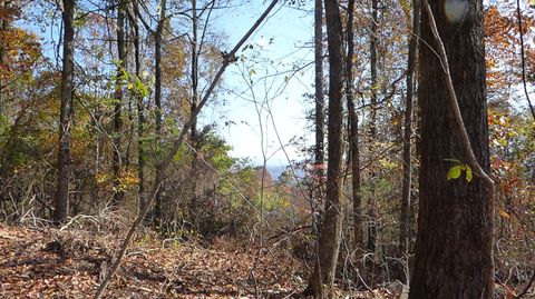 Tiny photo for 0 Laurel Avenue, South Pittsburg, TN 37380 (MLS # 1365098)